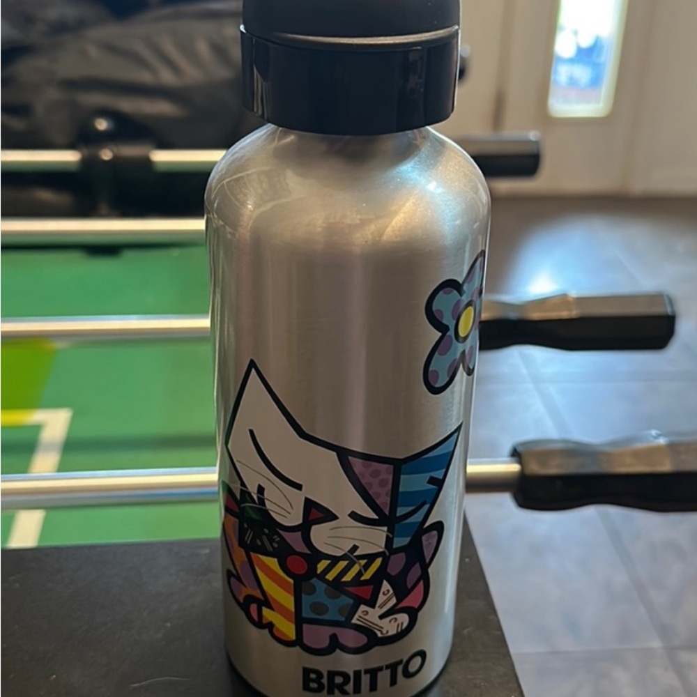 Britto Silver Water Bottle with Colorful Cat Design, NWOT